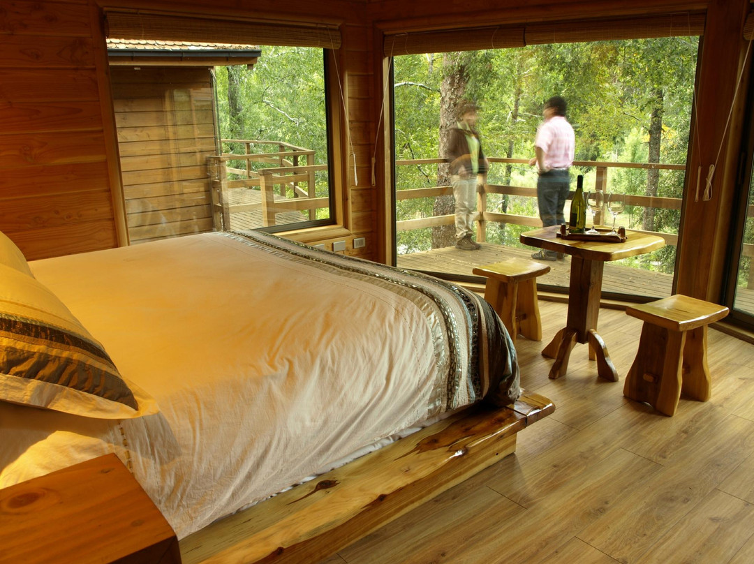 Peumayen Lodge & Termas