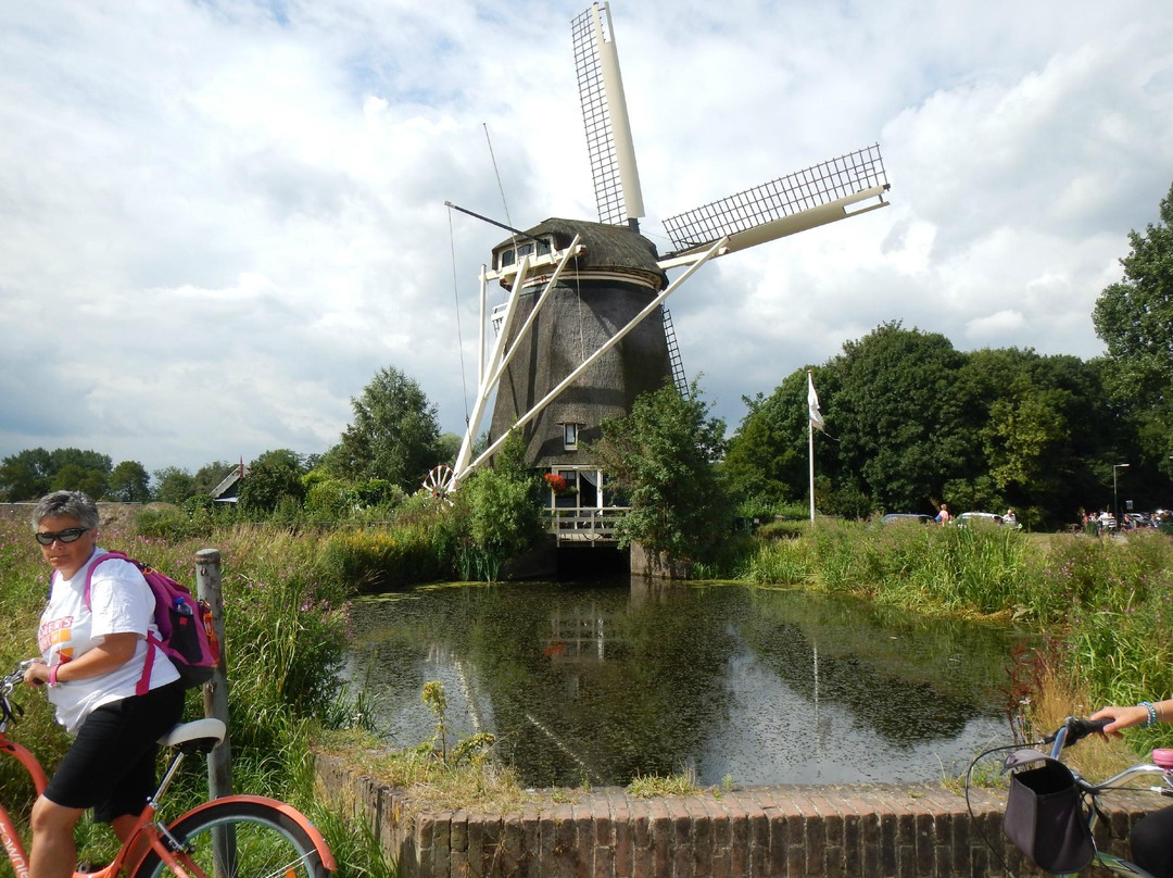 麦克单车游-阿姆斯特丹必去景点