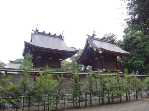 Washinomiya Shrine-久喜市必去景点