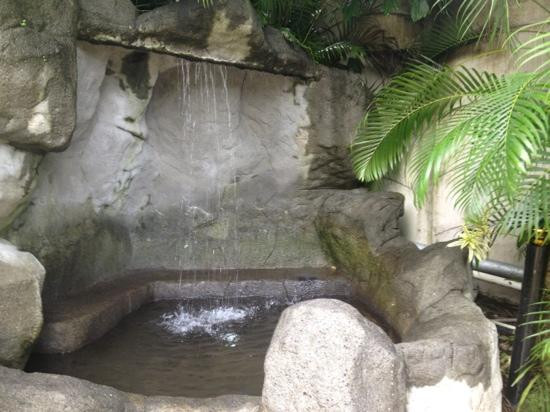 Titoku Hot Springs景点图片