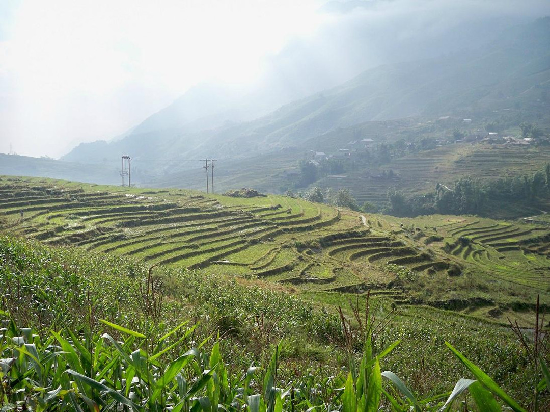 Hanoi Eco Tour - Day Tour-河内必去景点
