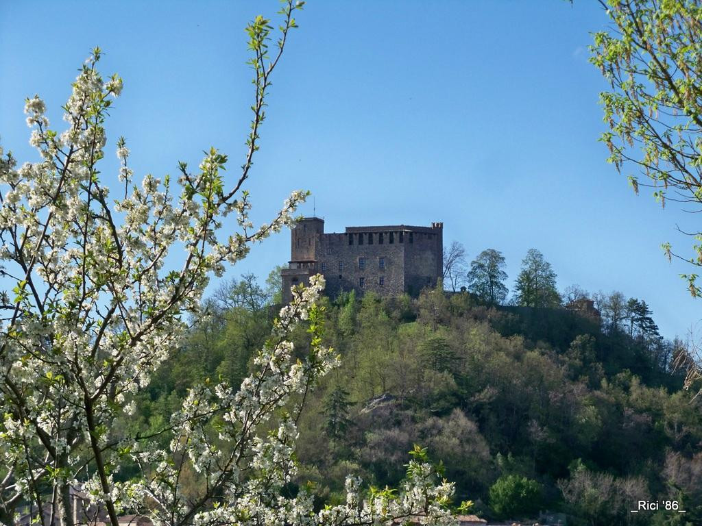 Castello Dal Verme景点图片