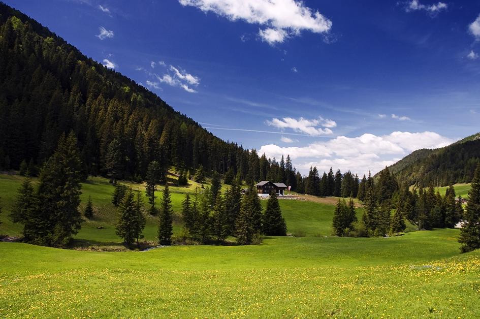 Zanser Alm