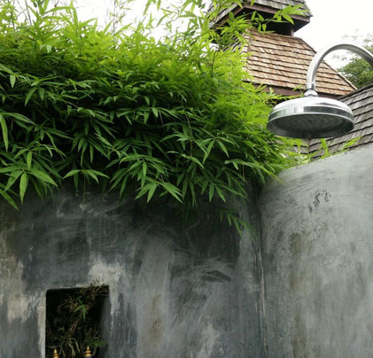 埃利克西尔度假村主图