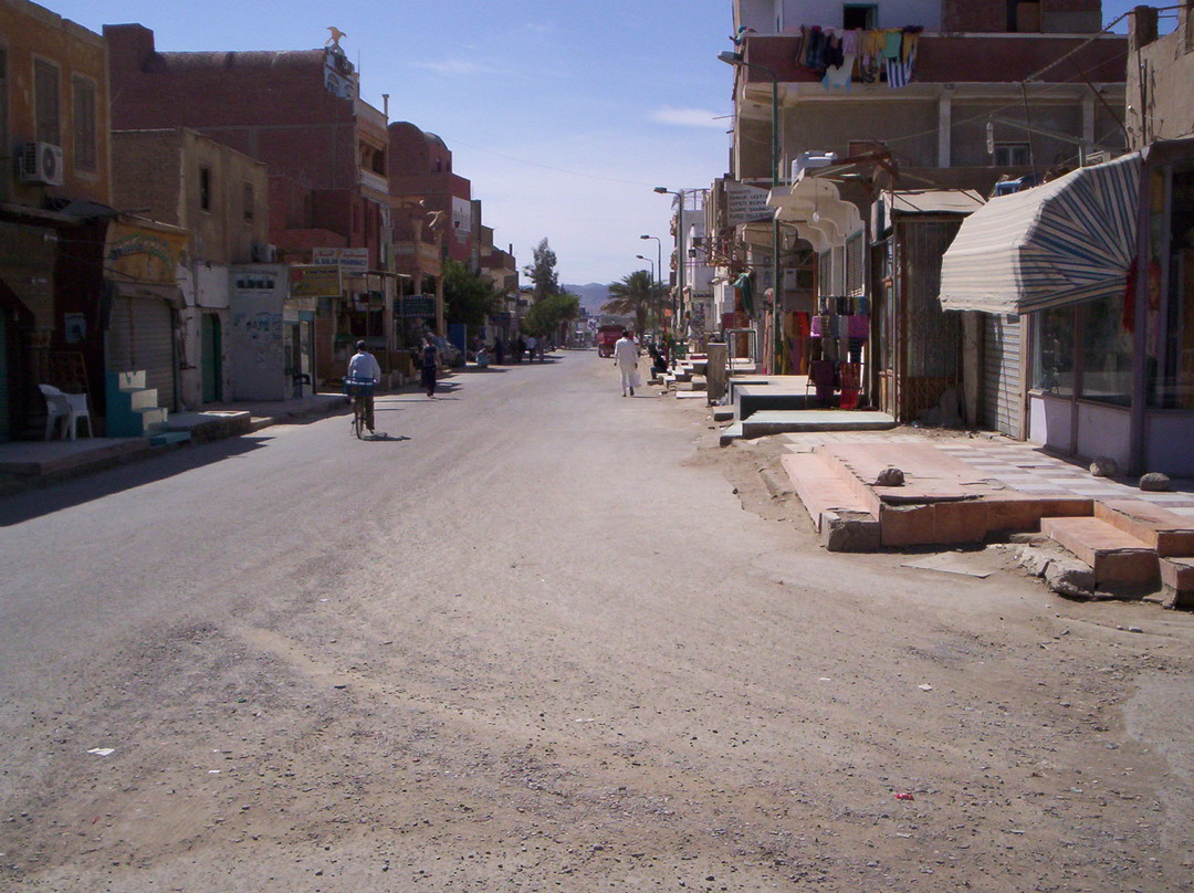 艾尔可西利亚旅游攻略图片