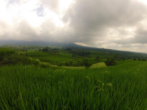 Dothey Bali-金巴兰必去景点