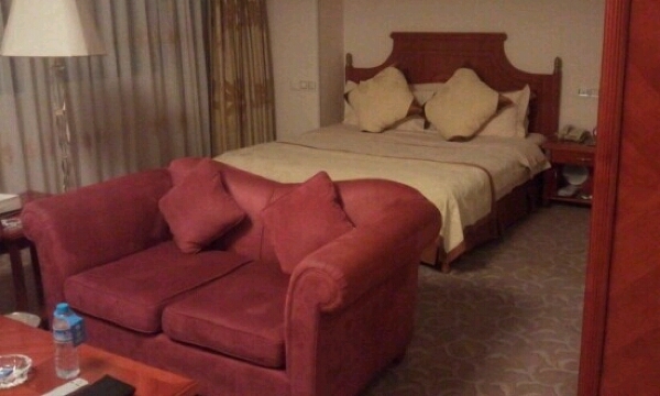 虹桥大酒店-客卧