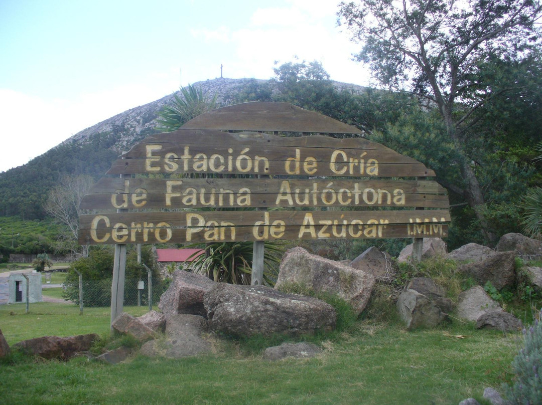 La Estacion de Cria de Fauna-Piriapolis必去景点