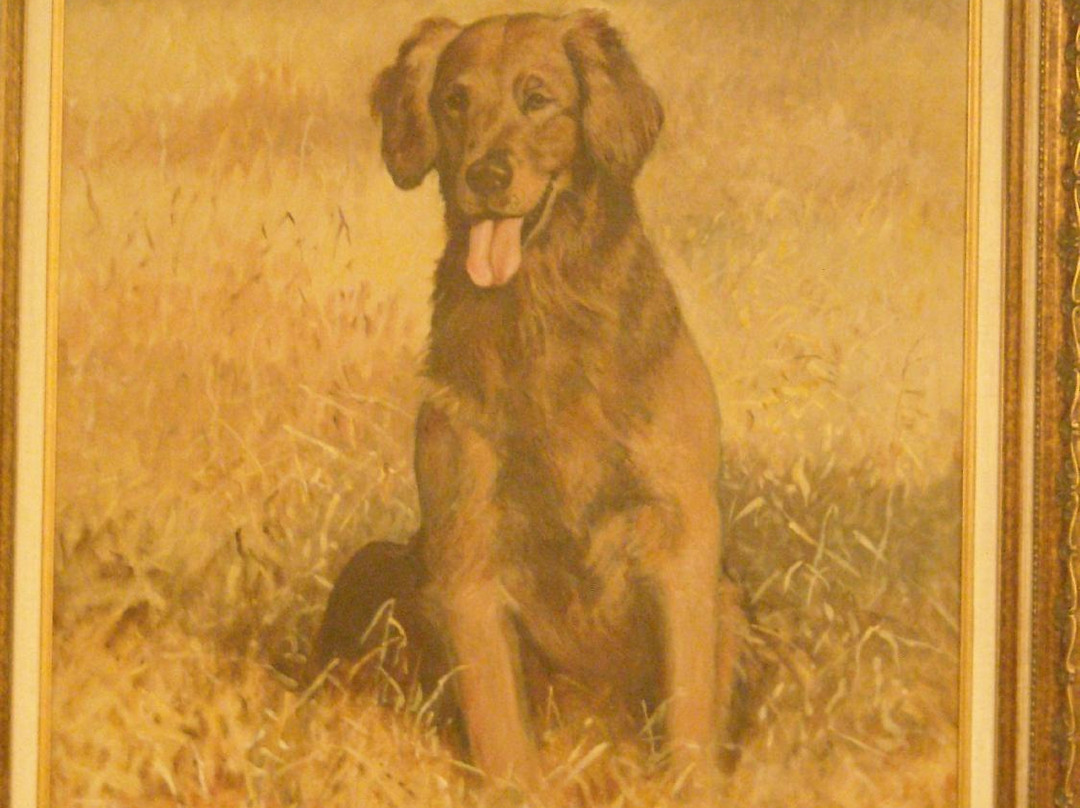 National Bird Dog Museum景点图片