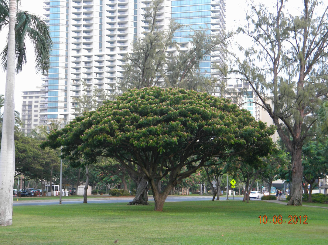 德吕西堡沙滩公园-火奴鲁鲁必去景点