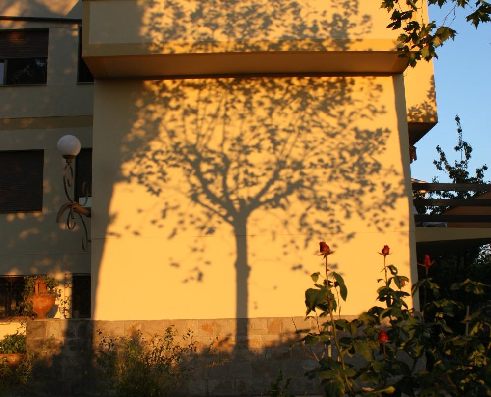 B&B Villa Aurora主图