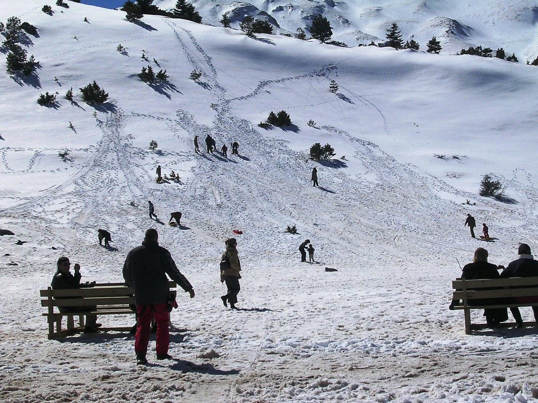 Helydorea Mountain Holidays