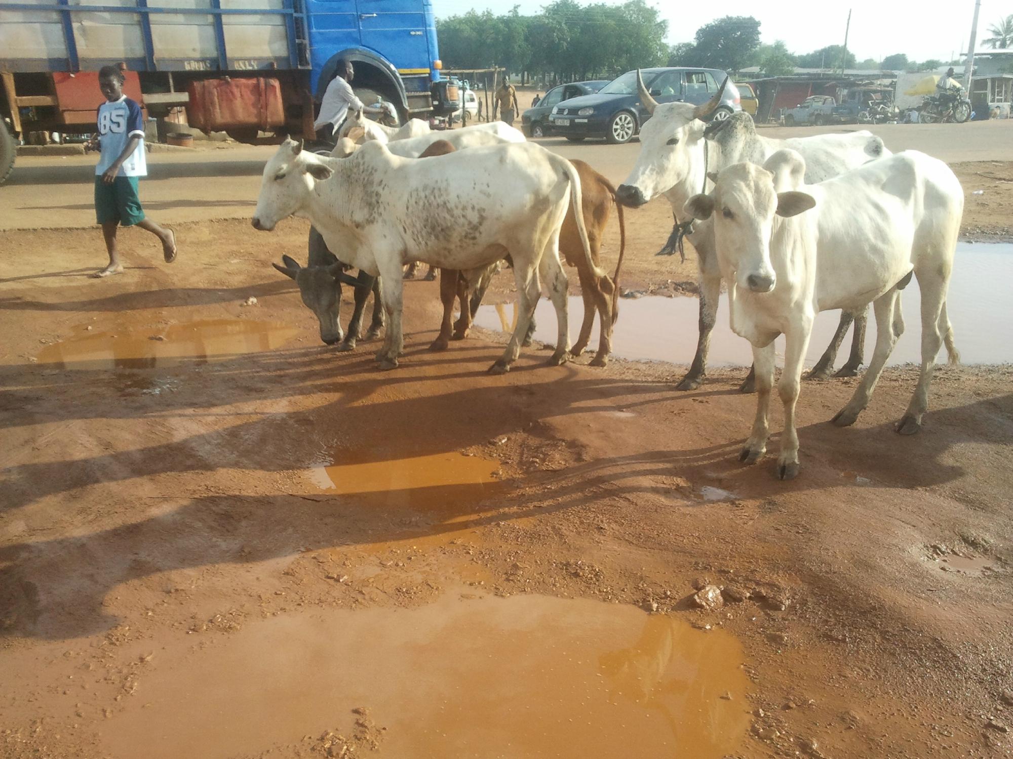 Sand Gardens Hotel-客卧