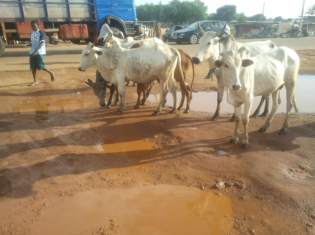 Sand Gardens Hotel主图