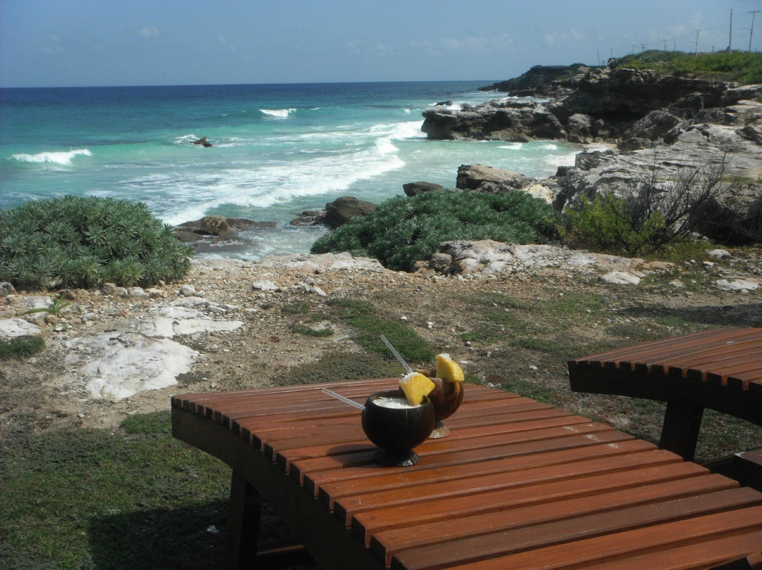 Villa La Bella Oceanfront Swing Bar-女人岛必去景点