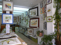 Galerie de Sophen-Trois-Ilets必去景点