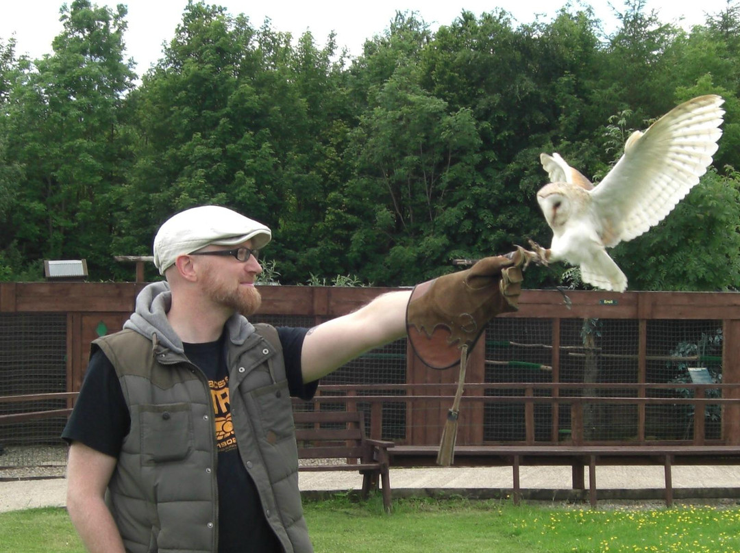 Talon Falconry-里彭必去景点