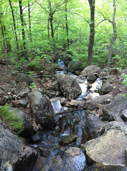 Mount Blue State Park景点图片