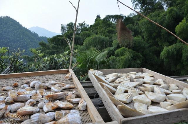 木坑村-黟县必去景点