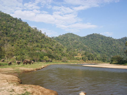 大象自然保护公园-清迈必去景点