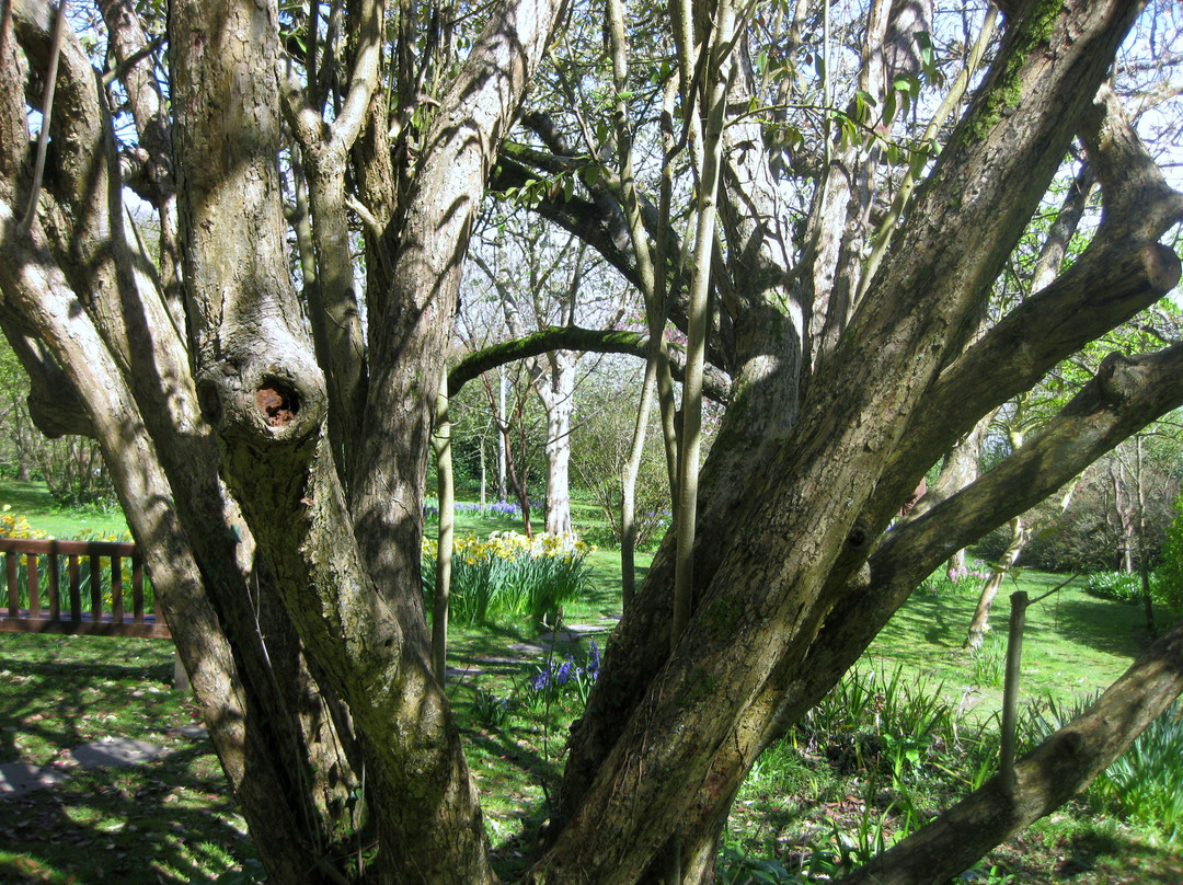Highdown Gardens景点图片