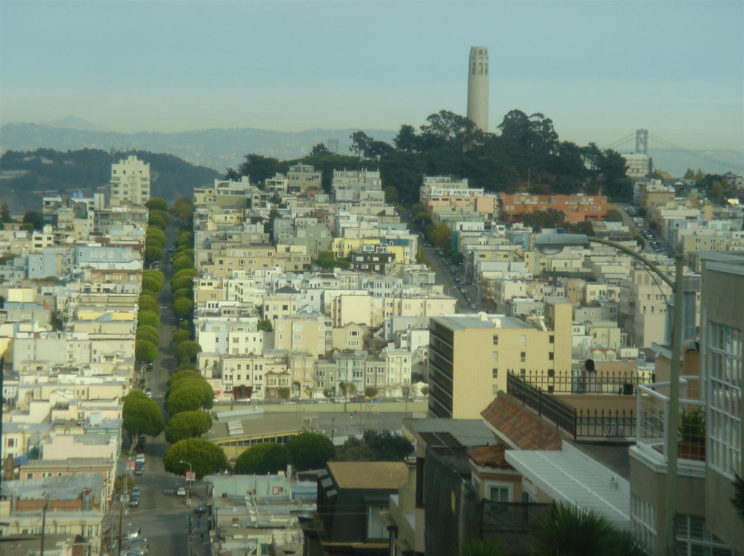 柯伊特塔-旧金山必去景点