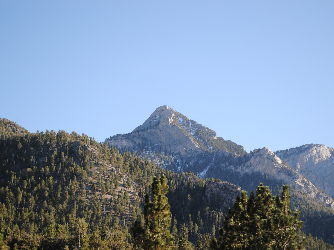 查尔斯顿山-拉斯维加斯必去景点