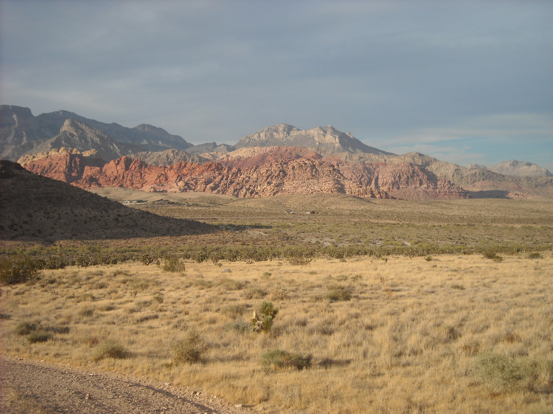 牛仔骑马游-拉斯维加斯必去景点