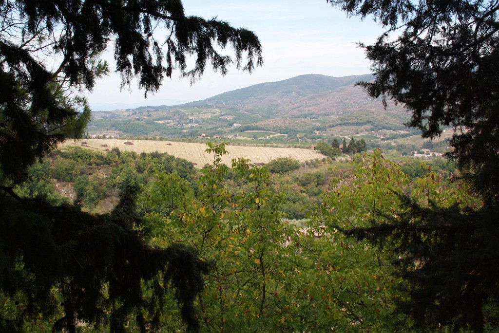 Montefioralle旅游攻略图片