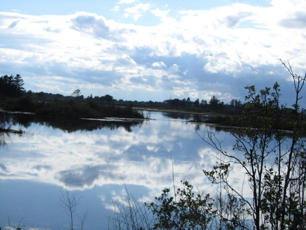 Seney National Wildlife Refuge景点图片