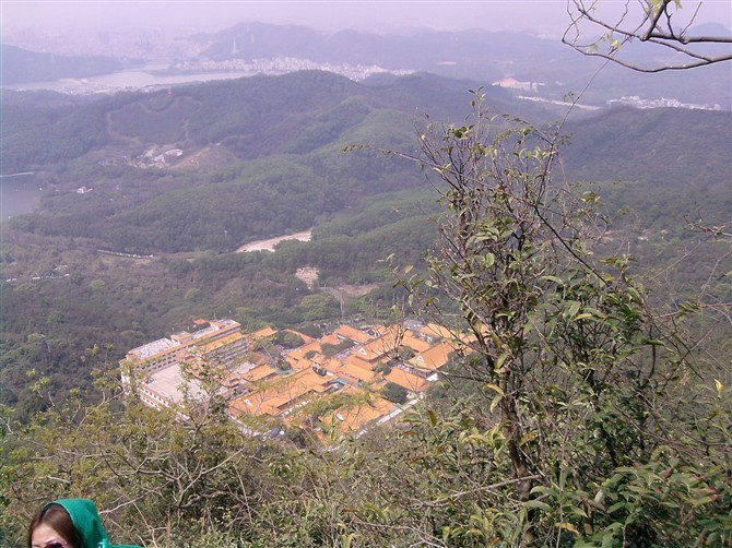 仙湖化石森林-深圳市必去景点