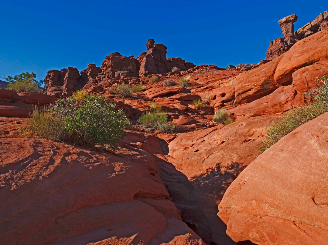 Shafer Trail Viewpoint-峡谷地国家公园必去景点
