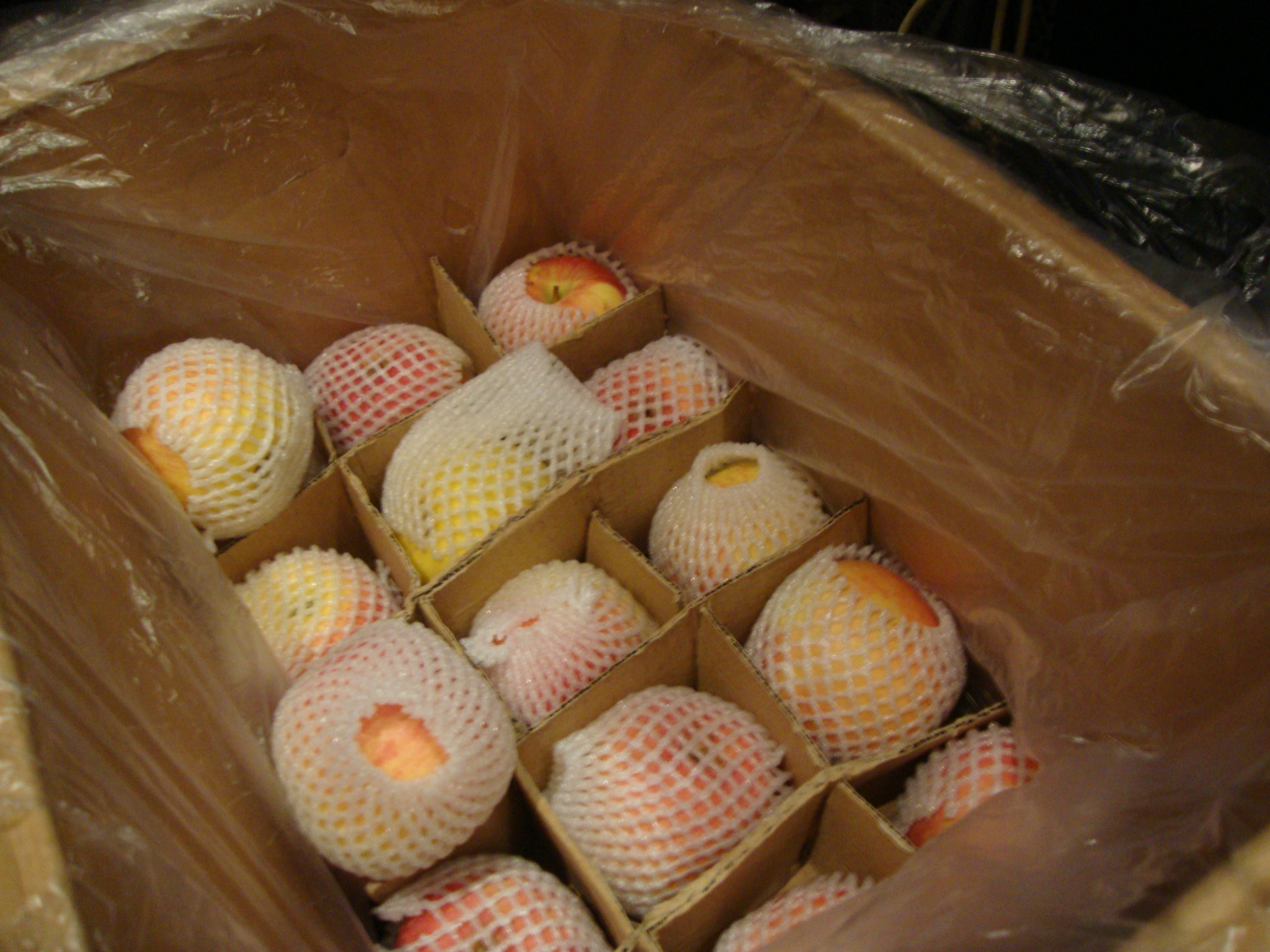 蒙佩商务酒店-客卧