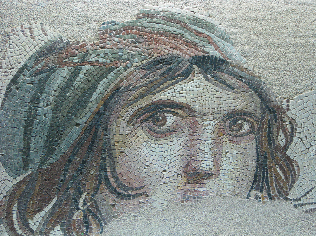 Gaziantep Museum景点图片