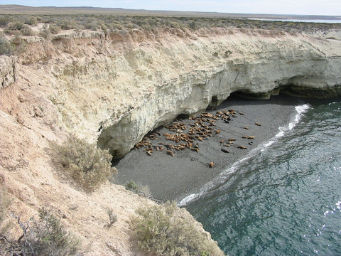 Reserva Lobería de Punta Loma-马德林港必去景点