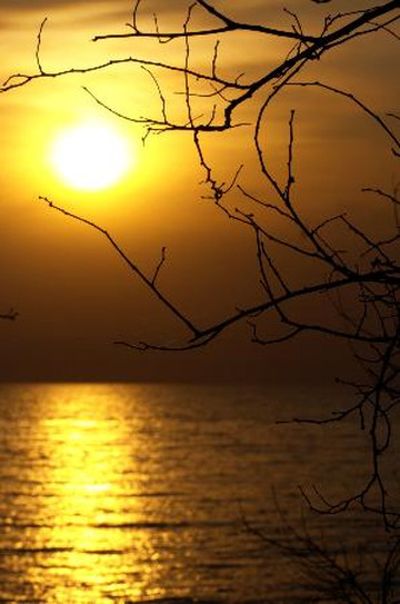 Gombe Stream National Park-Gombe National Park必去景点