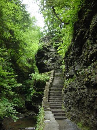 沃特金斯峡谷州立公园-沃特金斯格伦必去景点