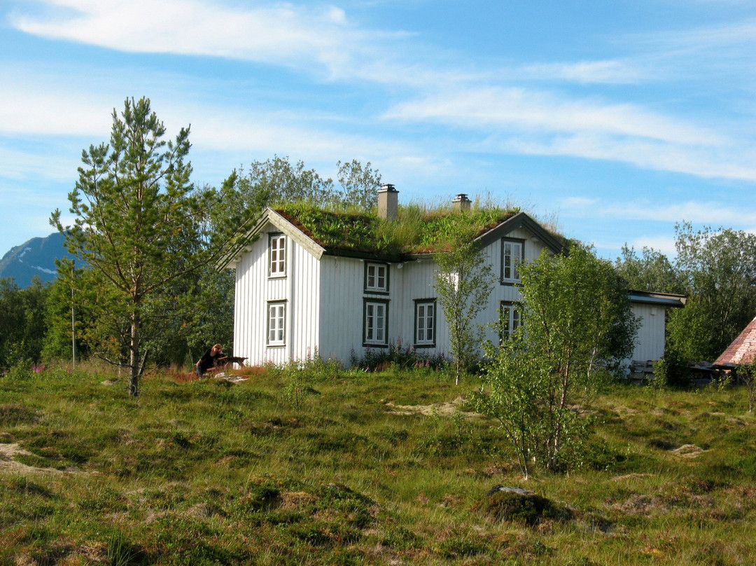 Arctic Wilderness Experience