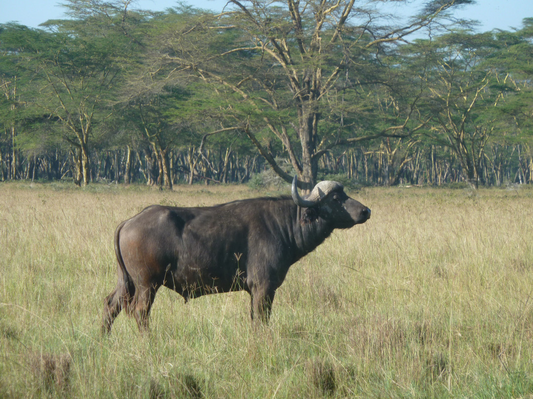Smile to Africa Adventure景点图片
