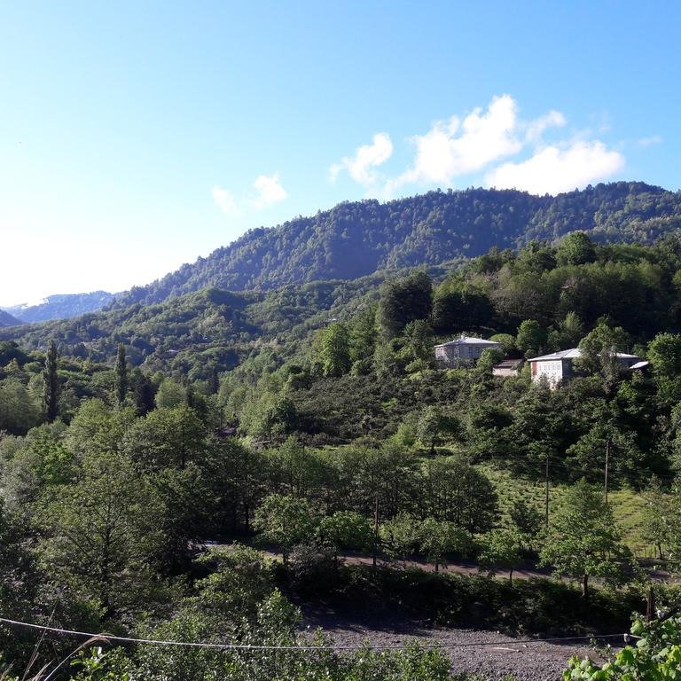 Country House Mamuka-家庭/游戏区