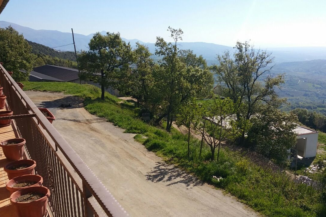 Saracena旅游攻略图片
