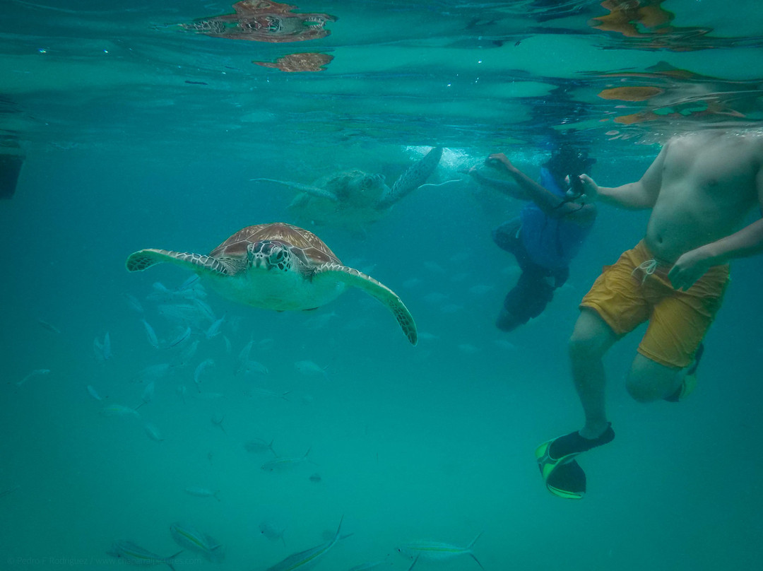 小停泊岛酒店住宿-阿鲁南度假村