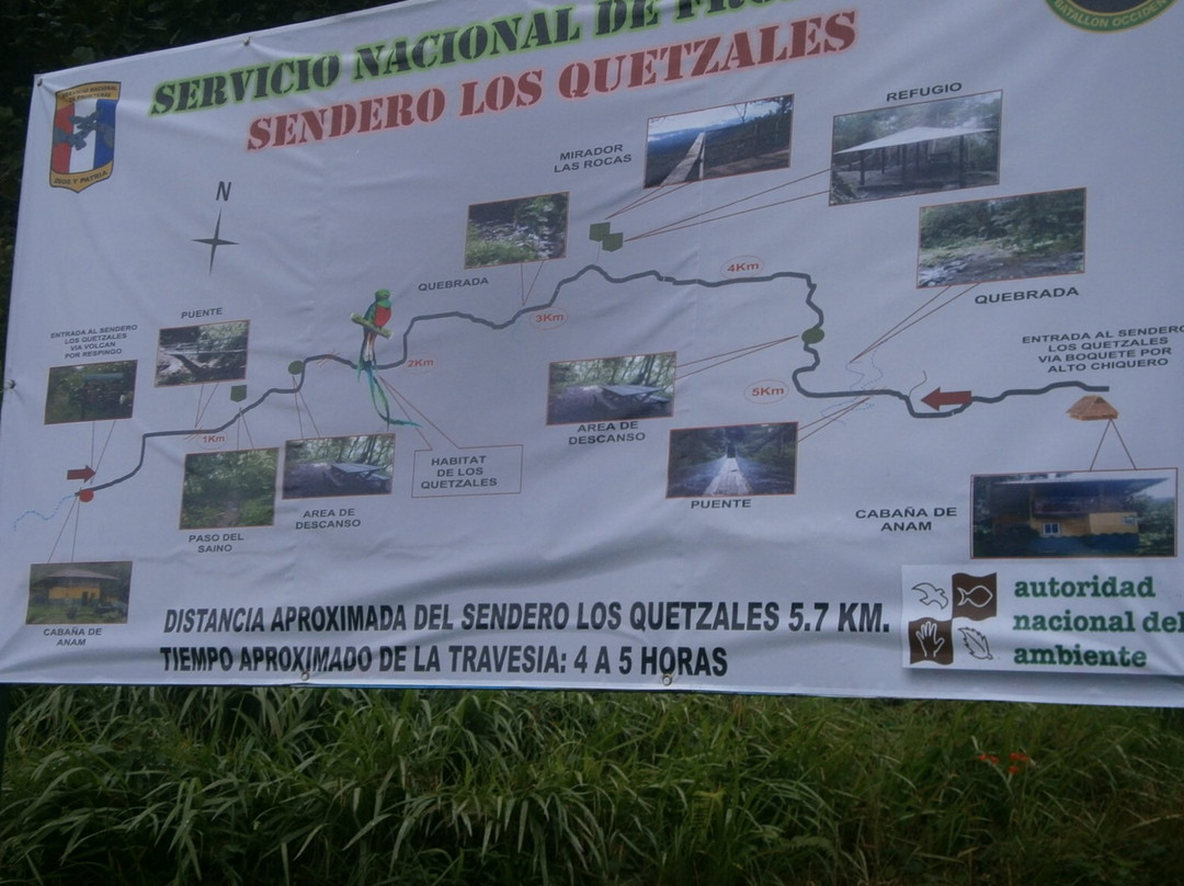 Sendero Los Quetzales景点图片