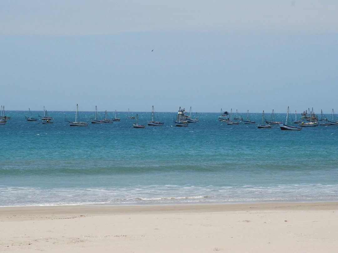 El Alto餐馆和美食-Cabo Blanco