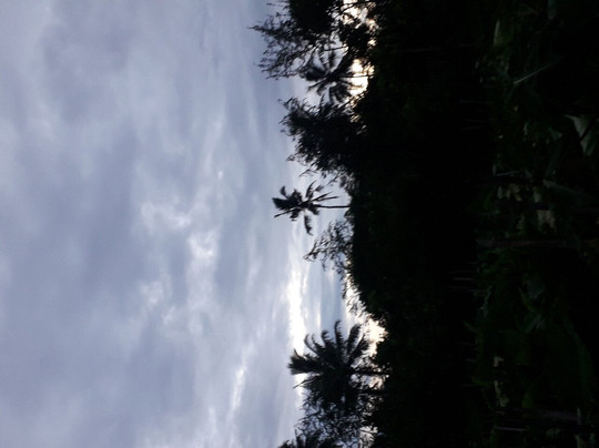 Dusun Dadapan Kec.wajak