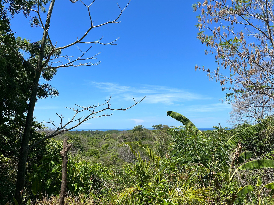 Sibu Wildlife Sanctuary景点图片