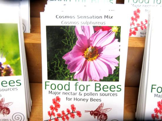 Bee Kind-Sebastopol必去景点