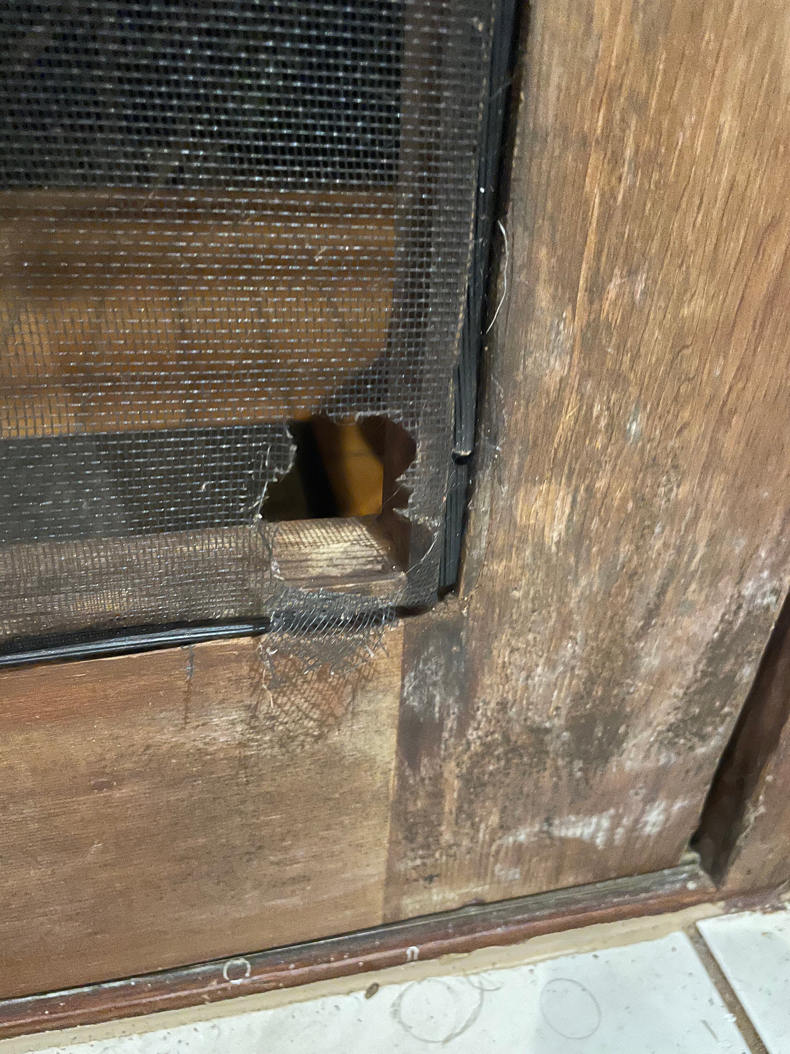 丹特里雨林疗养酒店-官方