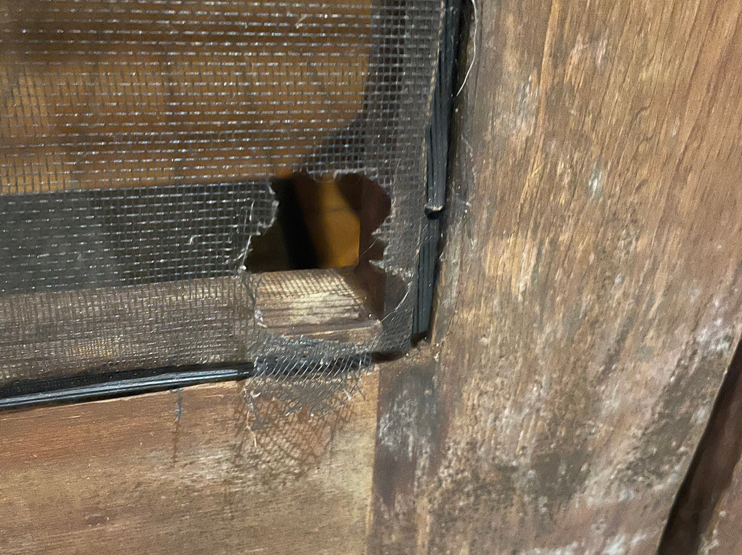 丹特里雨林疗养酒店主图