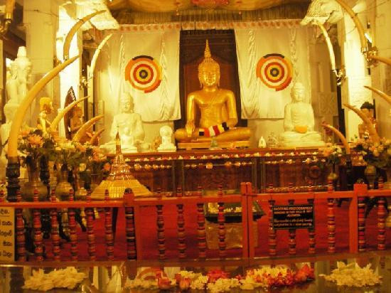 佛牙寺-康提必去景点